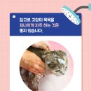 운정힐링동물병원 이미지