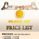 밸런스독 이미지