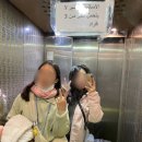 젤미4,5,8,9단지 안(동서) | 이집트 자유여행 룩소르 동서안 투어 I 프라이빗 택시 기사 추천 I 투어 일정 코스 팁 상세 정리