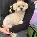 강림농장 이미지