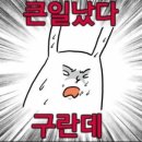 김참치 이미지