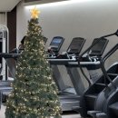 갈산한의원 | 갈산동헬스장 그루비짐 50대에 맞이한 뒷태 전성기