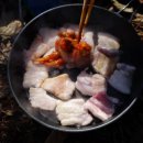 풀꽃마중 이미지