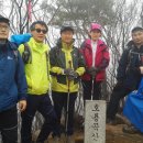 철훈농장 Daum카페