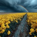 가산로9길 이미지