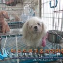 행당로 이미지