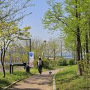 남동체육관 티스토리
