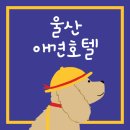 바나고펫살롱 | 울산 애견호텔 정리