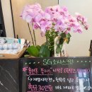SG 소사스크린골프 이미지