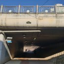 서호꽃뫼(2) 이미지