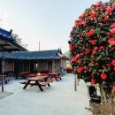 송림펜션민박 이미지