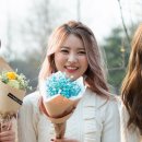 고양체육관 Daum카페