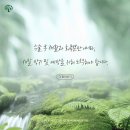 은평포레스트한방병원 이미지