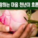 해와 달의 마음 이미지