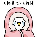 유아사진관 이미지