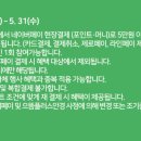포인트안경콘택트 이미지