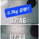 핏 3.3 이미지