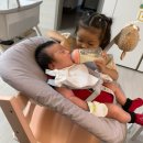 하트레버 | 트립트랩 뉴본, 꼭 사야 할까? 조립부터 방출 시기까지 실제 후기