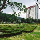 백록 공인중개사 | 특급호텔에서 &#39;인생샷&#39;을?