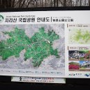 노고단수퍼