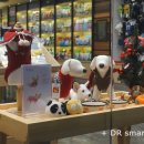 코너동물병원 이미지