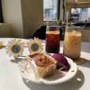 뽑아가세용 이미지