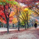 가을 이미지