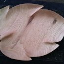 호두나무 나무잎형 과반 이미지