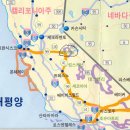 마리포사 이미지