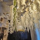 77 | 로브드샤 77사이즈 드레스초이스 후기 추가금공유o