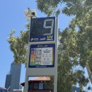 (주)웰스프레쉬 | Perth Day1) Swan River, Elizabeth Quay, Bell Tower: 투어 전 나홀로 CBD 시티투어