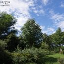 몽마르뜨 이미지