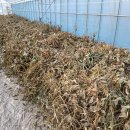 한길농장 이미지