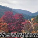 [성경필사] 오늘 숨을 쉬는 것 감사 _ 2023.11.08 _ 수요일에 주신 말씀 이미지