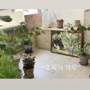 연남동 크리스마스 데이트코스 추천 | 테이커테이블 • 베리블리스 • 해리스플라워마켓