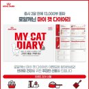 마이캣 이미지