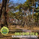 칠곡면신포숲 이미지