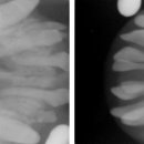 앞선동물병원 이미지