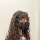 손탄헤어
