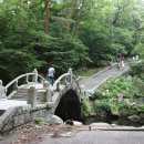 남북카전문정비 | 수백 년 역사의 지혜, 대구 동화사(桐華寺): 팔공산의 기상을 품은 통일의 염원