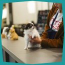 펫하임 | 의정부 펫하임: 꼼꼼한 케어로 건강하게, 행복한 반려생활 시작하세요!