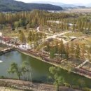 숲속 정원 이미지