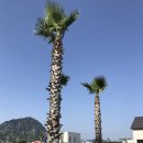 사계 아올 | 제주 아올 키즈펜션 아이들과 함께라면 추천해요~!