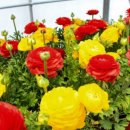 우림가든 이미지