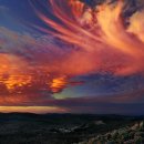 바바리아 이미지