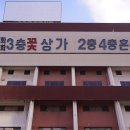 고속터미널 꽃시장 에서 사온 튤립으로 집꾸미기 (고터 꽃시장 주차 꿀팁)
