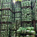 ㈜청호 | 저장배추 7만3천톤…평년보다 9.4% 감소 [26년 3월 10일 뉴스]