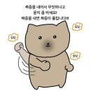 (주)유경식품 | 겨울아 오지망~