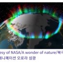 기화금속