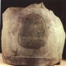 000-3-000068 이미지